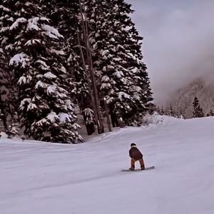 Meet your Posher, Alfie